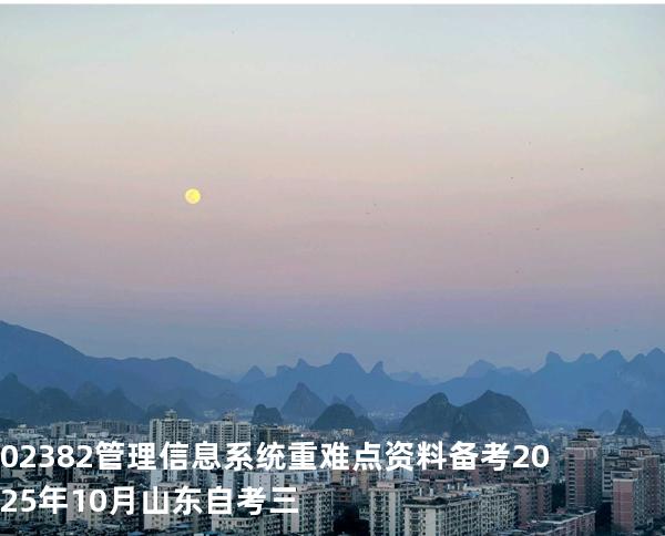 02382管理信息系统重难点资料备考2025年10月山东自考三