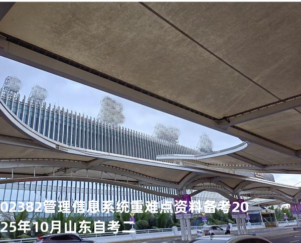 02382管理信息系统重难点资料备考2025年10月山东自考二