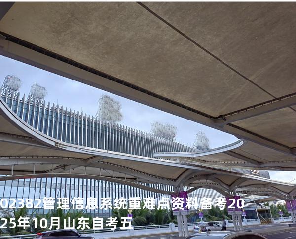02382管理信息系统重难点资料备考2025年10月山东自考五