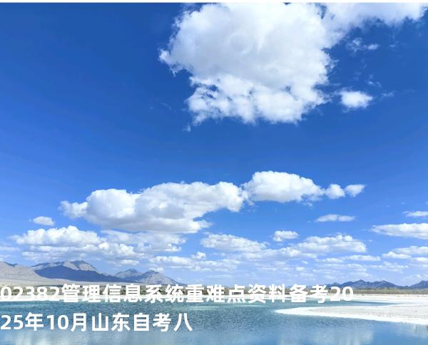 02382管理信息系统重难点资料备考2025年10月山东自考八
