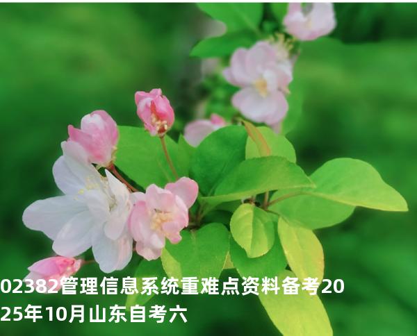02382管理信息系统重难点资料备考2025年10月山东自考六
