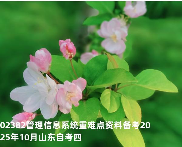02382管理信息系统重难点资料备考2025年10月山东自考四