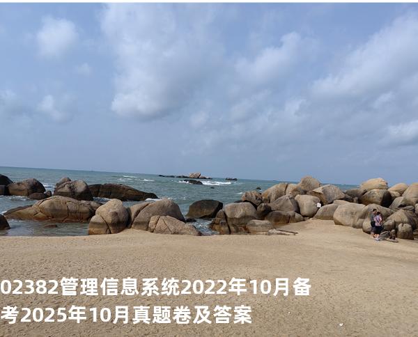  02382管理信息系统2022年10月备考2025年10月真题卷及答案 