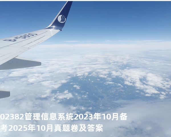  02382管理信息系统2023年10月备考2025年10月真题卷及答案 