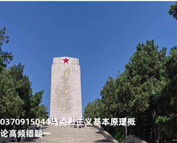 03709/15044马克思主义基本原理概论高频错题一