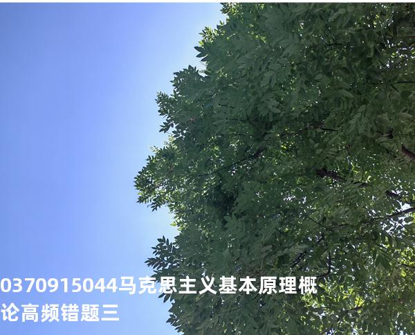 03709/15044马克思主义基本原理概论高频错题三
