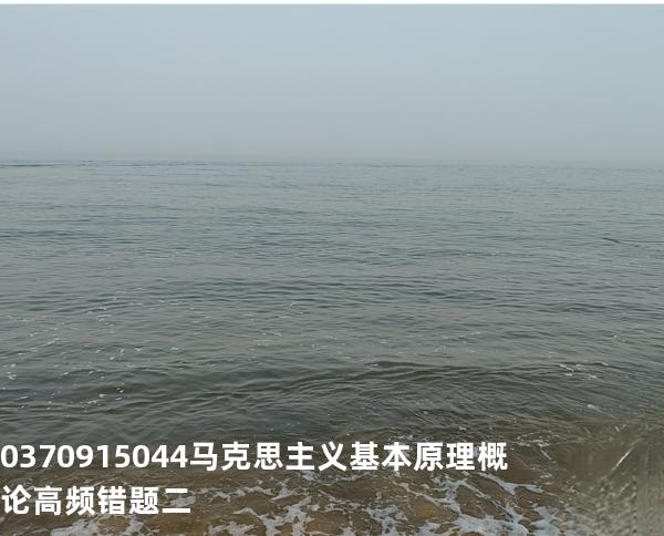 03709/15044马克思主义基本原理概论高频错题二