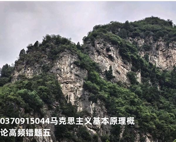 03709/15044马克思主义基本原理概论高频错题五