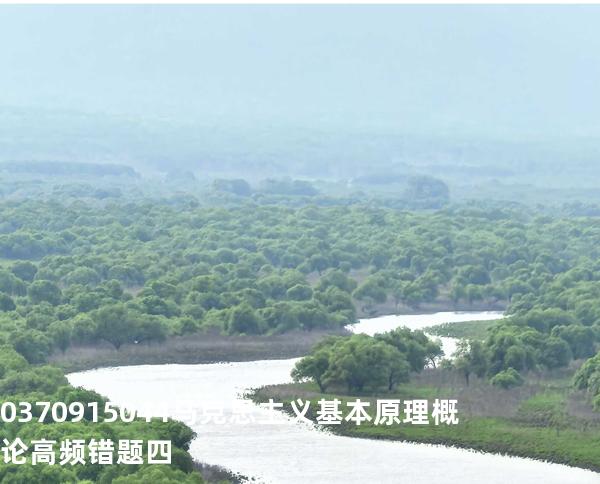 03709/15044马克思主义基本原理概论高频错题四
