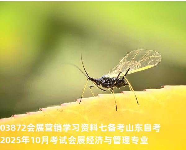 03872会展营销学习资料七备考山东自考2025年10月考试会展经济与管理专业