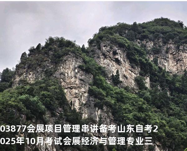 03877会展项目管理串讲备考山东自考2025年10月考试 会展经济与管理专业三