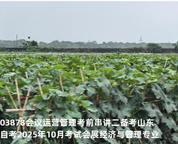 03878会议运营管理考前串讲二备考山东自考2025年10月考试会展经济与管理专业