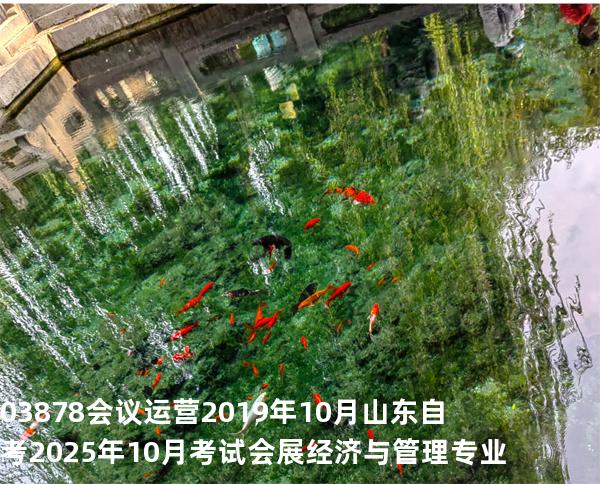 03878会议运营2019年10月 山东自考2025年10月考试会展经济与管理专业