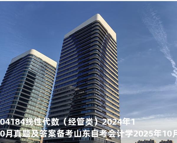 04184线性代数（经管类）2024年10月 真题及答案备考山东自考会计学 2025年10月