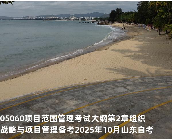 05060项目范围管理考试大纲第2 章 组织战略与项目管理备考2025年10月山东自考