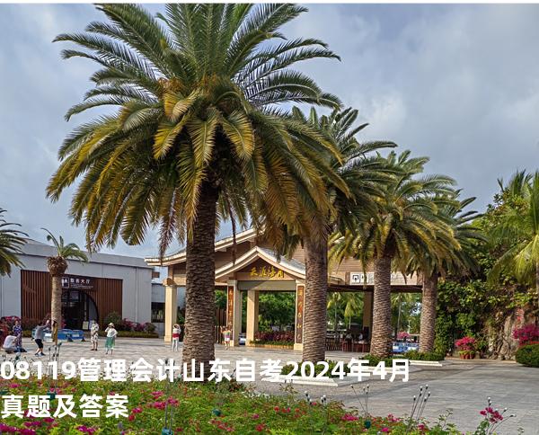 08119管理会计山东自考2024年4月真题及答案