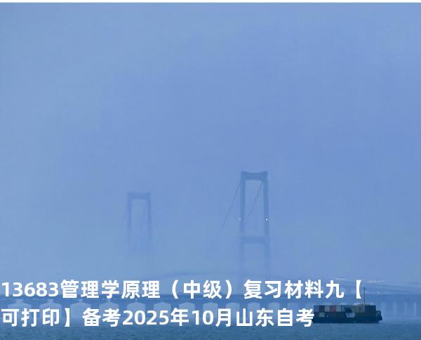  13683 管理学原理（中级）复习材料九【可打印】备考2025年10月山东自考