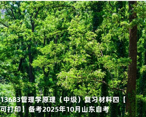  13683 管理学原理（中级）复习材料四【可打印】备考2025年10月山东自考