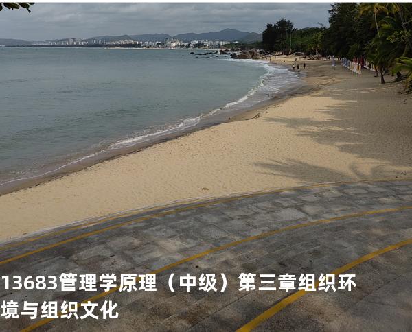 13683管理学原理（中级）第三章  组织环境与组织文化