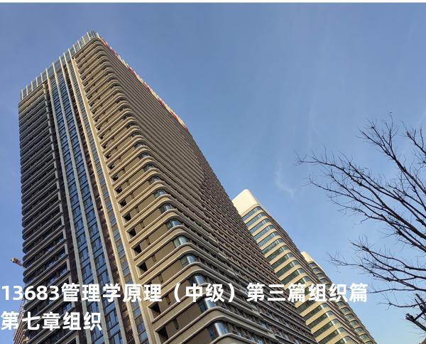 13683管理学原理（中级） 第三篇组织篇  第七章  组织