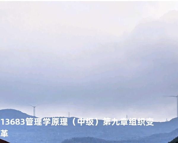 13683管理学原理（中级） 第九章  组织变革
