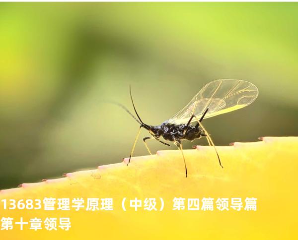 13683管理学原理（中级） 第四篇领导篇  第十章  领导