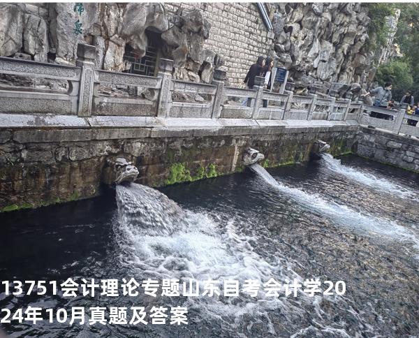 13751会计理论专题山东自考会计学 2024年10月真题及答案