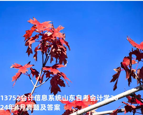 13752会计信息系统 山东自考会计学 2024年4月真题及答案