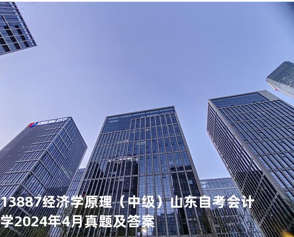 13887经济学原理（中级）山东自考会计学 2024年4月真题及答案