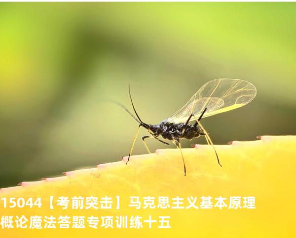 15044【考前突击】马克思主义基本原理概论魔法答题专项训练十五