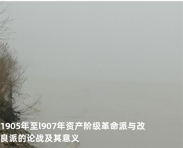 1905年至l907年资产阶级革命派与改良派的论战及其意义