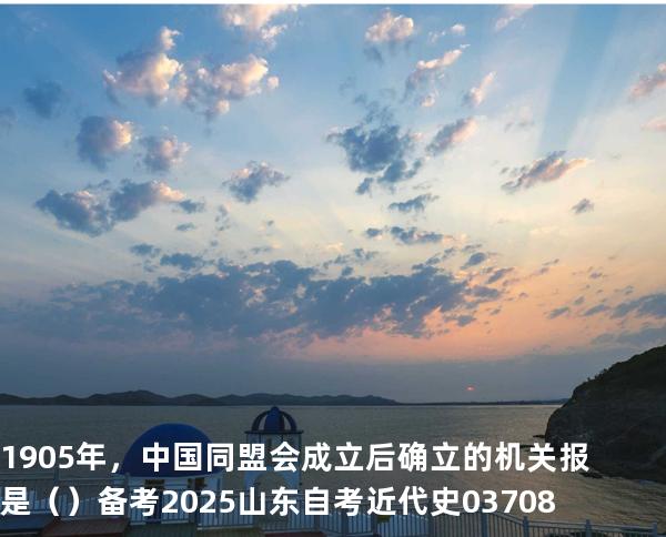1905 年，中国同盟会成立后确立的机关报是（  ）备考2025山东自考 近代史 03708