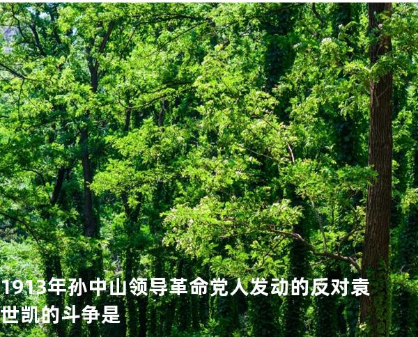 1913 年孙中山领导革命党人发动的反对袁世凯的斗争是