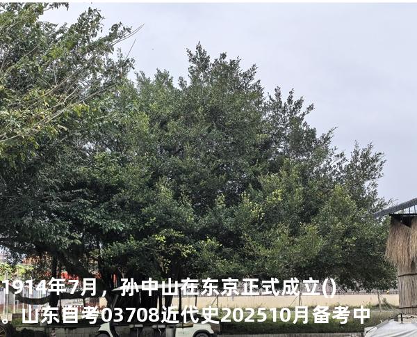 1914年7月，孙中山在东京正式成立()。山东自考03708近代史 202510月备考中