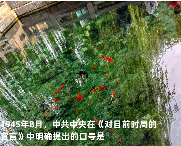 1945年8月，中共中央在《对目前时局的宜言》中明确提出的口号是