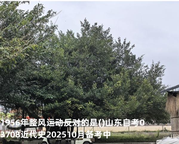 1956年整风运动反对的是().山东自考03708近代史 202510月备考中