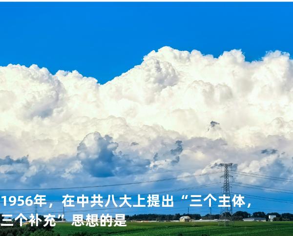 1956 年， 在中共八大上提出“三个主体，三个补充”思想的是