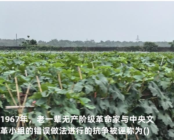 1967年，老一辈无产阶级革命家与中央文革小组的错误做法进行的抗争被诬称为( )