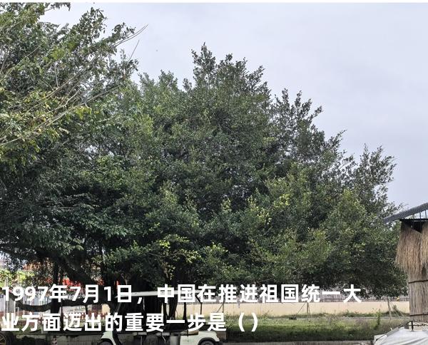 1997年7月1日，中国在推进祖国统一大业方面迈出的重要一步是（  ）