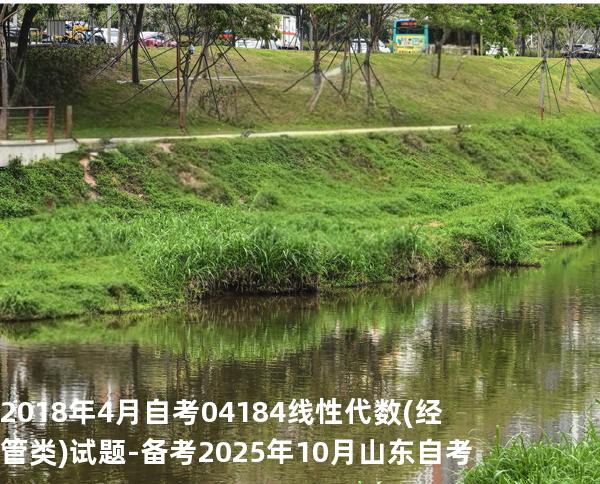 2018年4月自考 04184线性代数(经管类) 试题-备考2025年10月山东自考