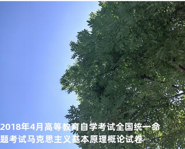 2018年4月高等教育自学考试全国统一命题考试 马克思主义基本原理概论试卷