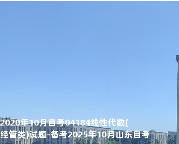 2020年10月自考 04184线性代数(经管类) 试题-备考2025年10月山东自考