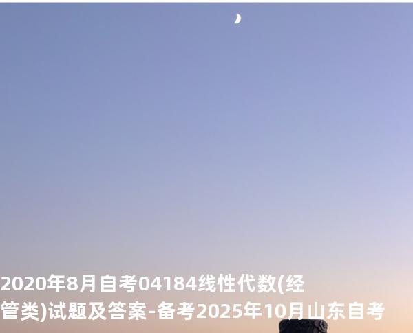 2020年8月自考 04184线性代数(经管类) 试题及答案-备考2025年10月山东自考