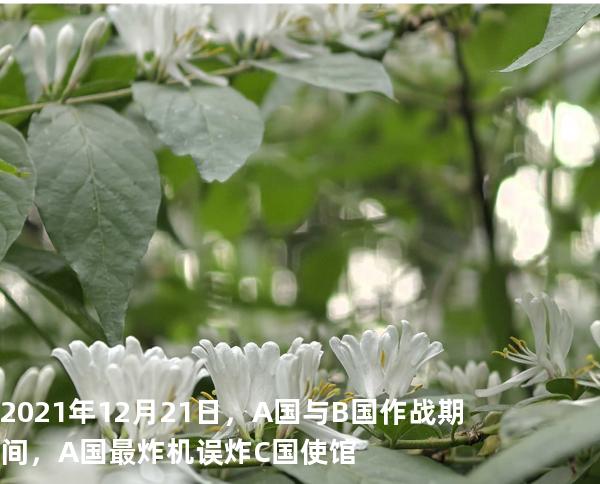 2021 年 12 月 21 日，A 国与 B 国作战期间，A 国最炸机误炸 C 国使馆