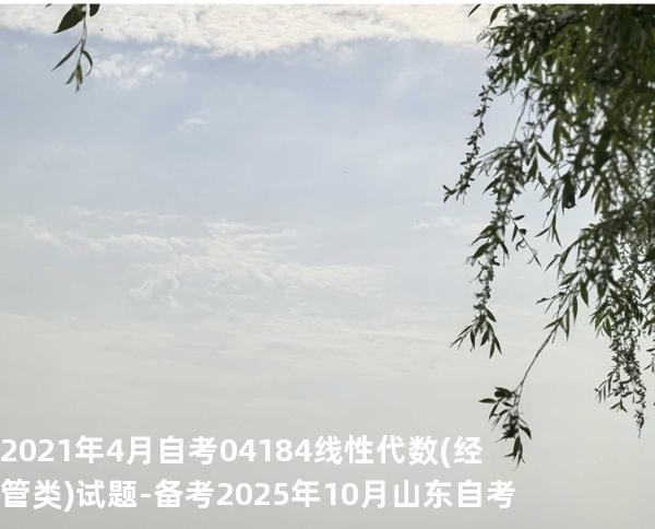 2021年4月自考 04184线性代数(经管类) 试题-备考2025年10月山东自考