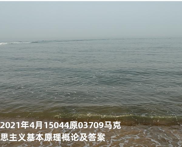2021年4月15044原03709马克思主义基本原理概论及答案