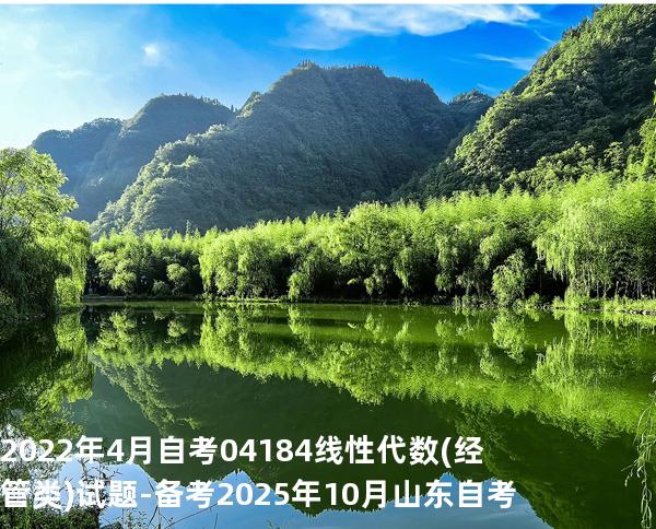 2022年4月自考 04184线性代数(经管类) 试题-备考2025年10月山东自考