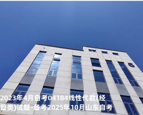 2023年4月自考 04184线性代数(经管类) 试题-备考2025年10月山东自考