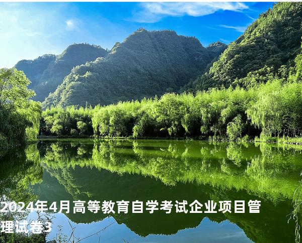 2024年4月高等教育自学考试  企业项目管理试卷3