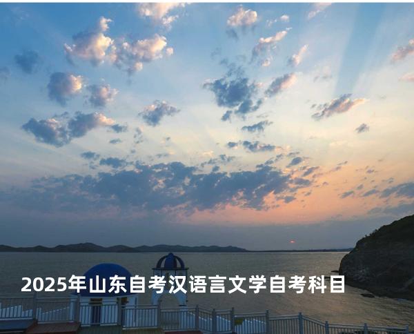 2025年山东自考汉语言文学自考科目